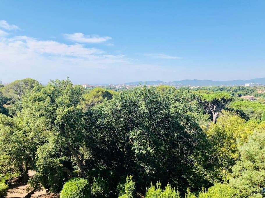 Luxury, Luminous Sea & Mountain Views